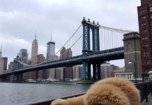 Searching “best rub n tug nyc”? Read this before you book anything